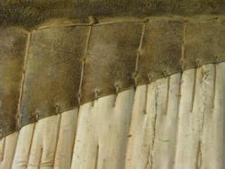 galerie, Galerie